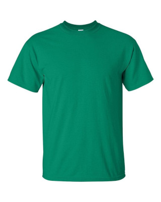 Ideal 365 | Gildan ultra cotton adult t-shirt - kelly green - large