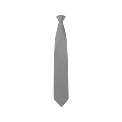 Clip-on tie 